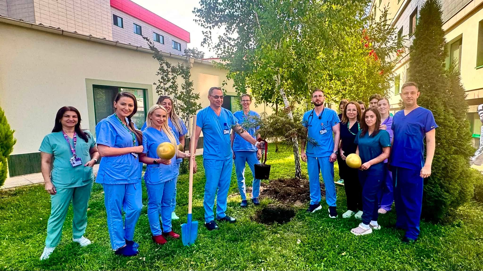 Японски клен, подарък от „Булфарма“, засади екипът на Кардиохирургията в УМБАЛ „Пълмед“ за своя втори рожден ден