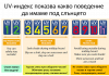 „Пълмед“ с безплатни прегледи за рак на кожата в рамките на Евромеланома 2022