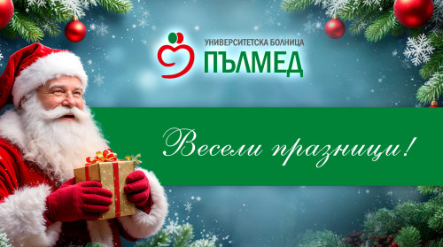 СВЕТЛИ ПРАЗНИЦИ ОТ ЕКИПА НА „ПЪЛМЕД“!